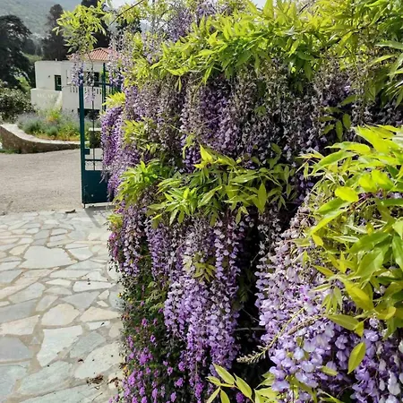 Stellinas House 2 Διαμέρισμα